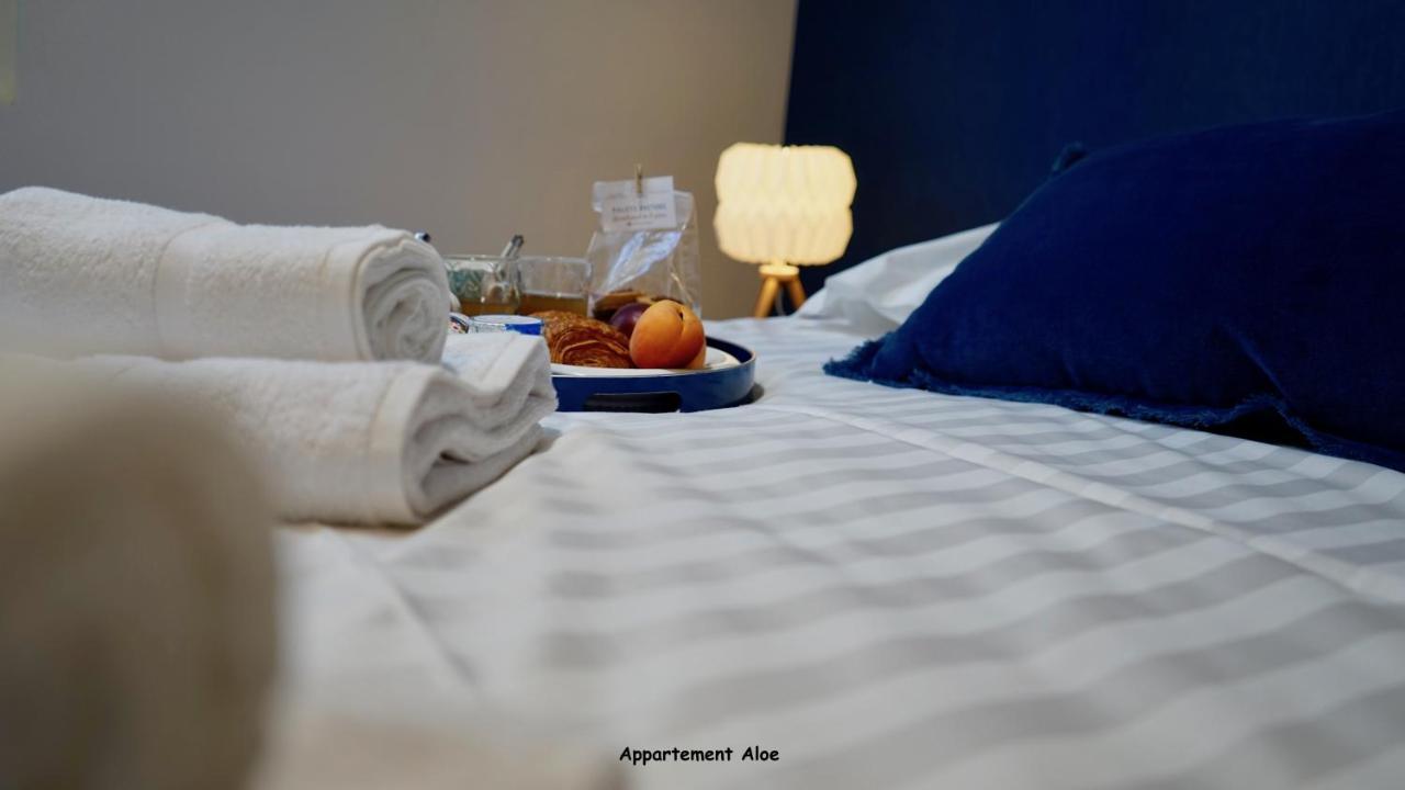 Appartements De Caractere Centre Vannes Zewnętrze zdjęcie